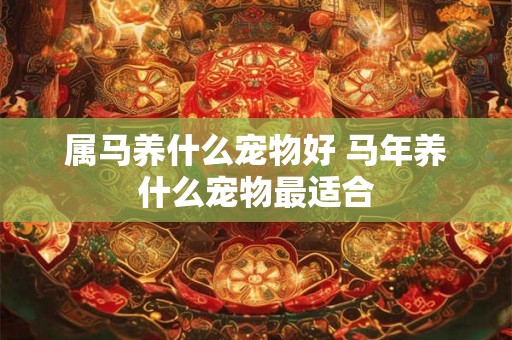 属马养什么宠物好 马年养什么宠物最适合