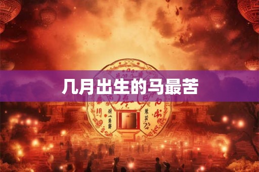 几月出生的马最苦