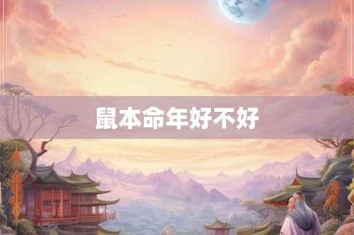 鼠本命年好不好