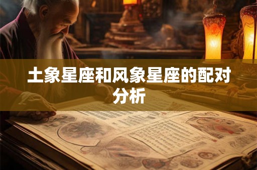 土象星座和风象星座的配对分析