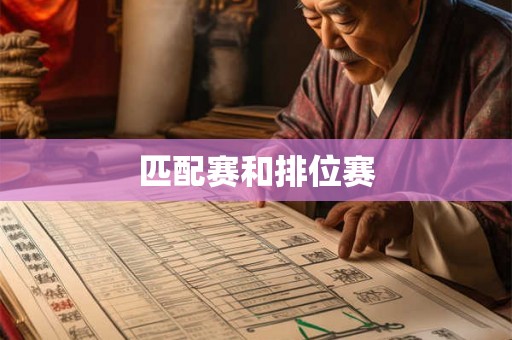 匹配赛和排位赛