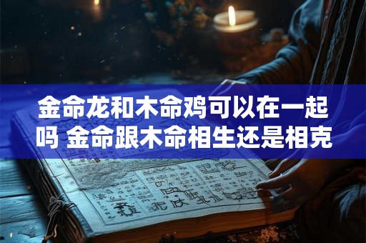 金命龙和木命鸡可以在一起吗 金命跟木命相生还是相克