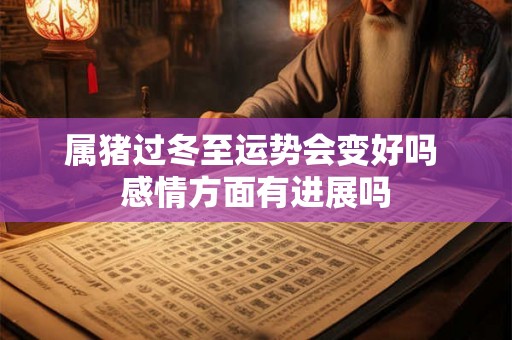 属猪过冬至运势会变好吗 感情方面有进展吗