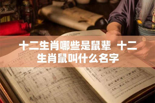 十二生肖哪些是鼠辈  十二生肖鼠叫什么名字