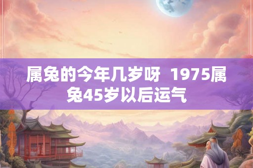 属兔的今年几岁呀 1975属兔45岁以后运气 属兔的今年几岁呀 1975属兔45岁以后运气