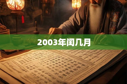 2003年闰几月