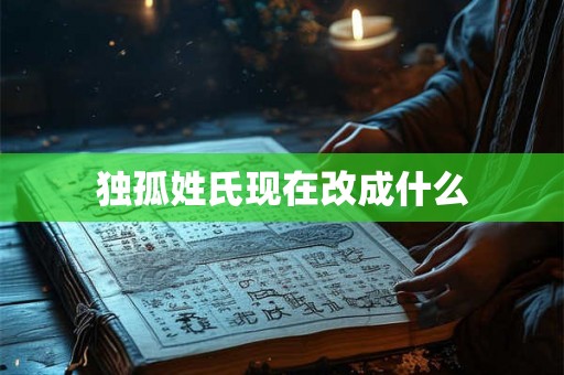 独孤姓氏现在改成什么