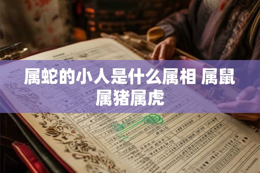 属蛇的小人是什么属相 属鼠属猪属虎