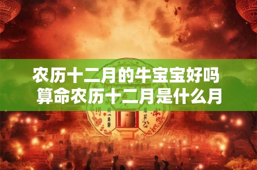 农历十二月的牛宝宝好吗 算命农历十二月是什么月