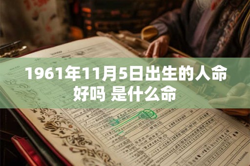 1961年11月5日出生的人命好吗 是什么命 1961年11月5日出生的人命好吗 是什么命