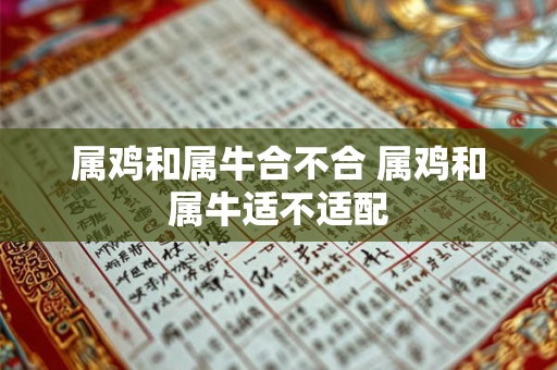 属鸡和属牛合不合 属鸡和属牛适不适配