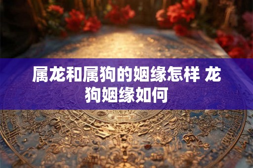 属龙和属狗的姻缘怎样 龙狗姻缘如何 属龙和属狗的姻缘怎样 龙狗姻缘如何