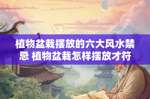 植物盆栽摆放的六大风水禁忌 植物盆栽怎样摆放才符合风水