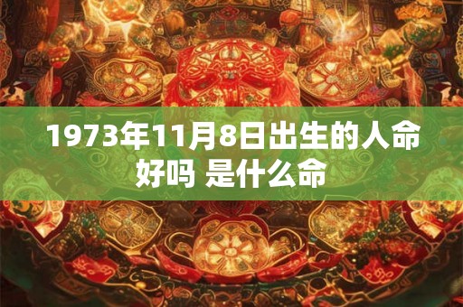 1973年11月8日出生的人命好吗 是什么命