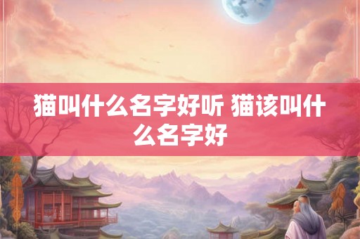 猫叫什么名字好听 猫该叫什么名字好
