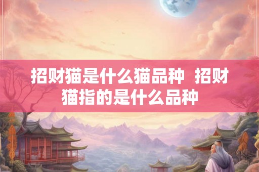 招财猫是什么猫品种  招财猫指的是什么品种