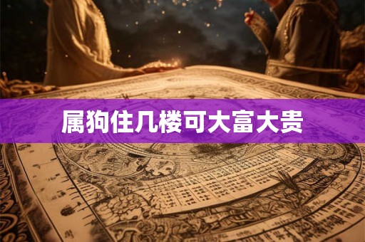 属狗住几楼可大富大贵