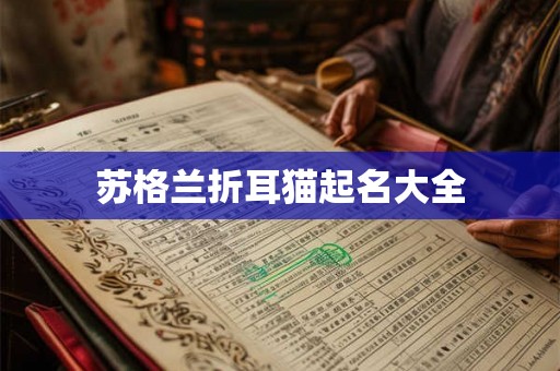 苏格兰折耳猫起名大全