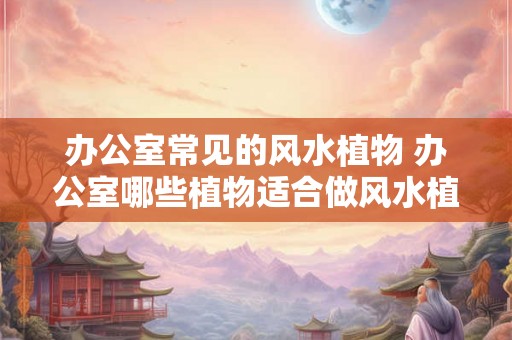 办公室常见的风水植物 办公室哪些植物适合做风水植物 办公室常见的风水植物 办公室哪些植物适合做风水植物