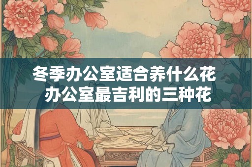 冬季办公室适合养什么花 办公室最吉利的三种花 冬季办公室适合养什么花 办公室最吉利的三种花