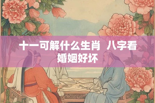 十一可解什么生肖  八字看婚姻好坏