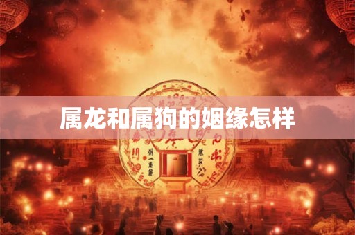 属龙和属狗的姻缘怎样