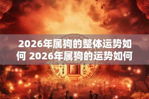 2026年属狗的整体运势如何 2026年属狗的运势如何