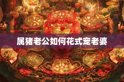 属猪老公如何花式宠老婆