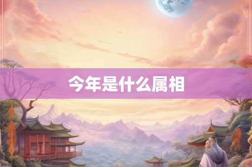 今年是什么属相