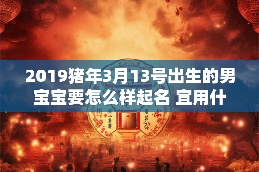 2019猪年3月13号出生的男宝宝要怎么样起名 宜用什么字