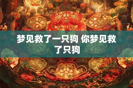 梦见救了一只狗 你梦见救了只狗 梦见救了一只狗 你梦见救了只狗