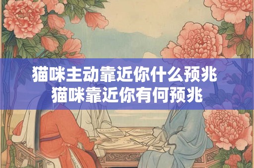猫咪主动靠近你什么预兆 猫咪靠近你有何预兆