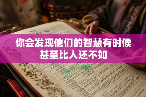 你会发现他们的智慧有时候甚至比人还不如