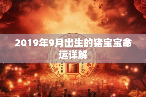 2019年9月出生的猪宝宝命运详解