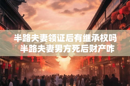 半路夫妻领证后有继承权吗  半路夫妻男方死后财产咋分