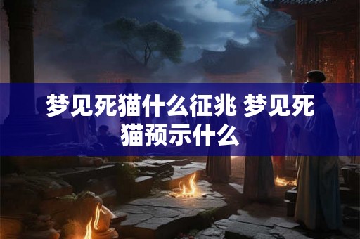 梦见死猫什么征兆 梦见死猫预示什么