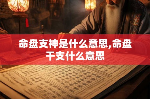 命盘支神是什么意思,命盘干支什么意思