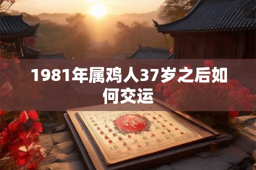 1981年属鸡人37岁之后如何交运