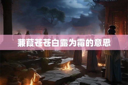 蒹葭苍苍白露为霜的意思