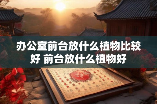办公室前台放什么植物比较好 前台放什么植物好