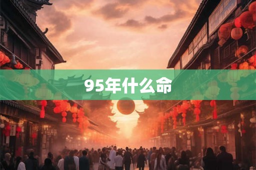 95年什么命