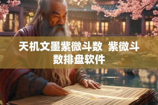 天机文墨紫微斗数  紫微斗数排盘软件