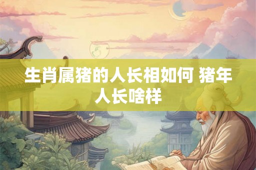 生肖属猪的人长相如何 猪年人长啥样