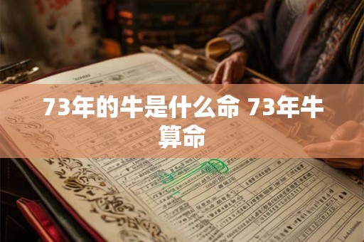 73年的牛是什么命 73年牛算命