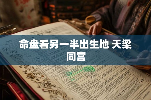 命盘看另一半出生地 天梁同宫