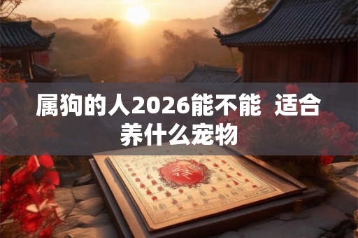 属狗的人2026能不能  适合养什么宠物