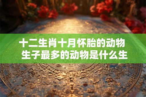 十二生肖十月怀胎的动物  生子最多的动物是什么生肖