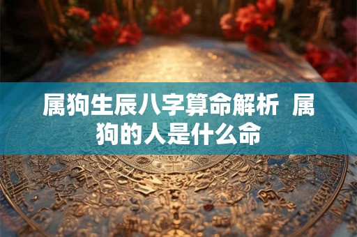 属狗生辰八字算命解析  属狗的人是什么命