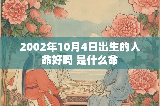 2002年10月4日出生的人命好吗 是什么命