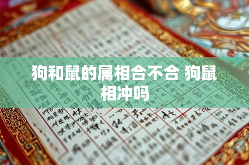 狗和鼠的属相合不合 狗鼠相冲吗